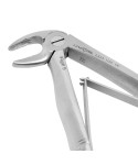 Baby Extracting Forceps English Pattern Klein #5 Pedodontic Lower Incisors.