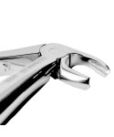 Baby Extracting Forceps English Pattern Klein #7 Pedodontic Lower Roots,