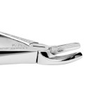 Baby Extracting Forceps English Pattern Klein #139 Pedodontic Upper Premolars