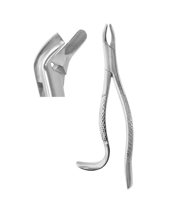 Extracting Forceps Fig. 24 upper molars