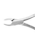 Extracting Forceps Fig. 150 Apical Upper Universal Forceps