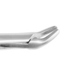Extracting Forceps Fig. 150 Apical Upper Universal Forceps