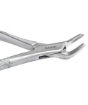 Extracting Forceps Fig. 151 Apical Universal Forceps