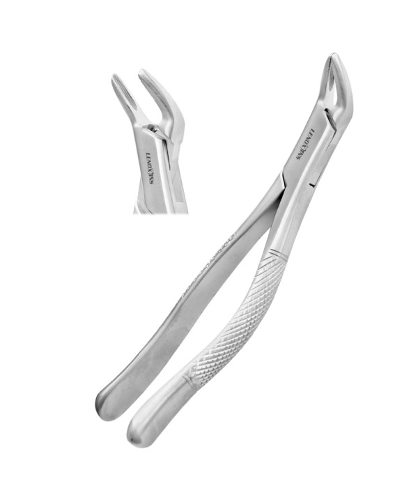 Extracting Forceps Fig. 151 Apical Universal Forceps