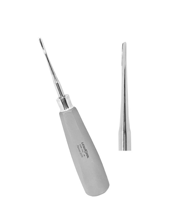 Root Elevators Apexo 2.5MM STR