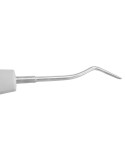 Luxating Elevator 31CA (Inverted Curved 3mm)