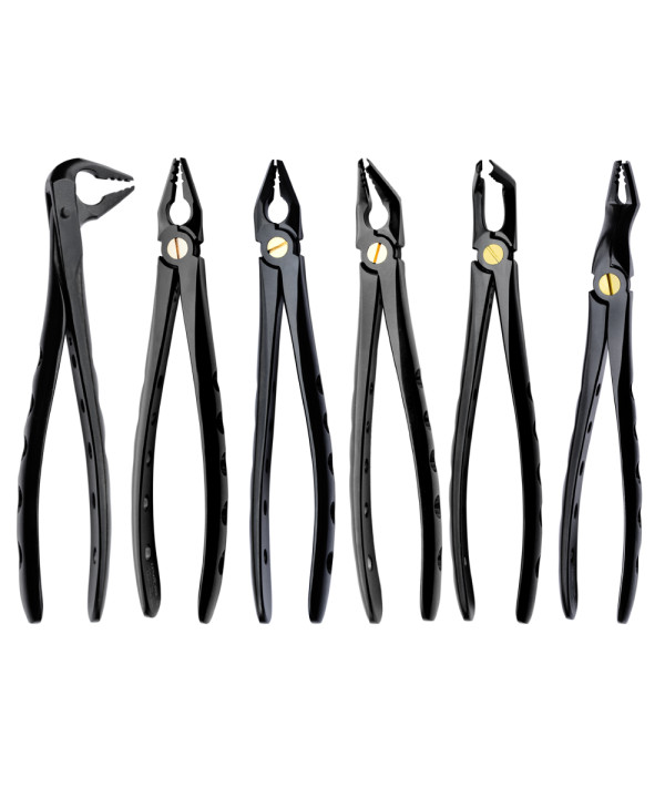 Deep Gripping Extracting Forceps Set of 6