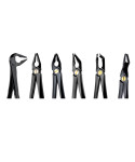Deep Gripping Extracting Forceps Set of 6