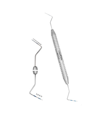 12 WIlliam Probes, Double Ended
