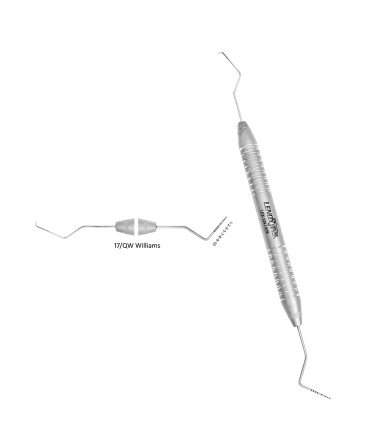 17/QW Williams Probe - Explorer Double Ended