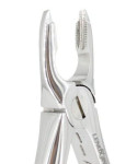 Deep Gripping Forceps # 34 Upper Incisors and Premolars Deep-gripping